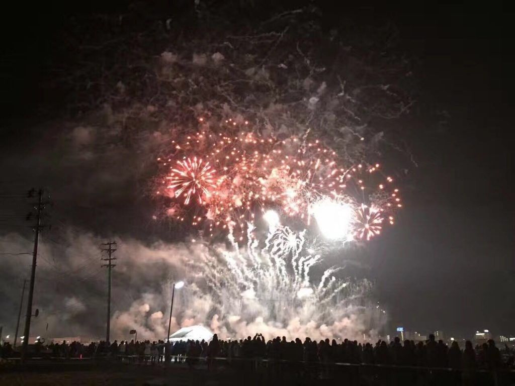 2016年11月5日 会津花火大会
